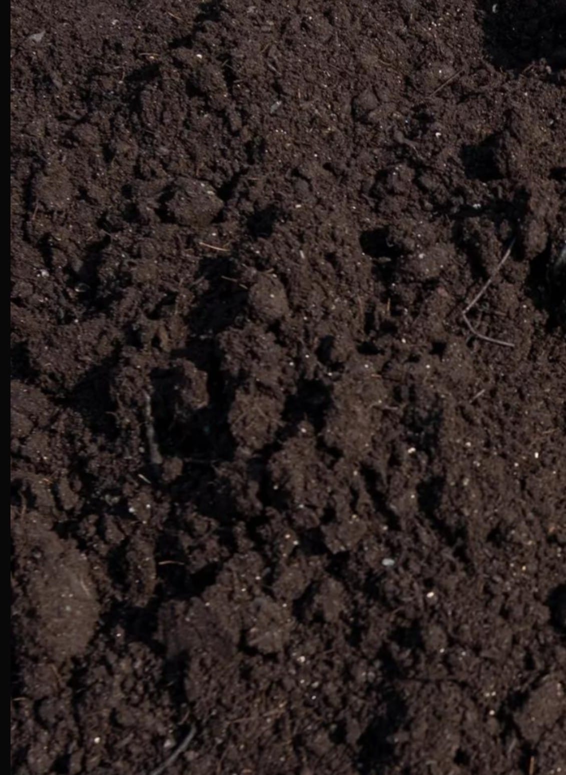Planting bed mix